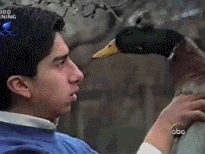 40.gif