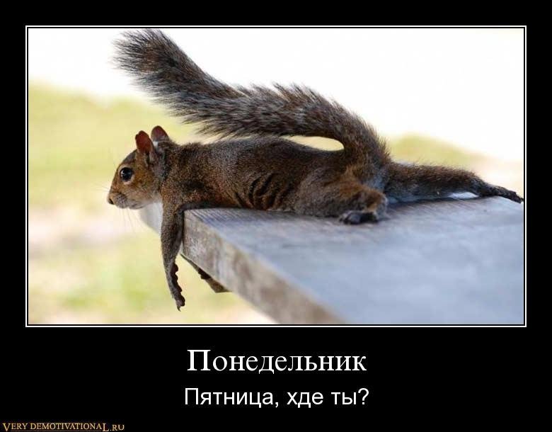 1282990014_15pwqp77ycsi.jpg