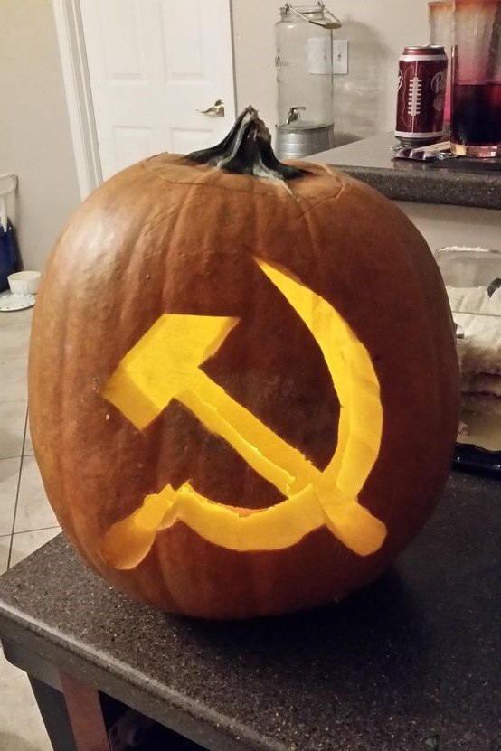 19522482.jpg