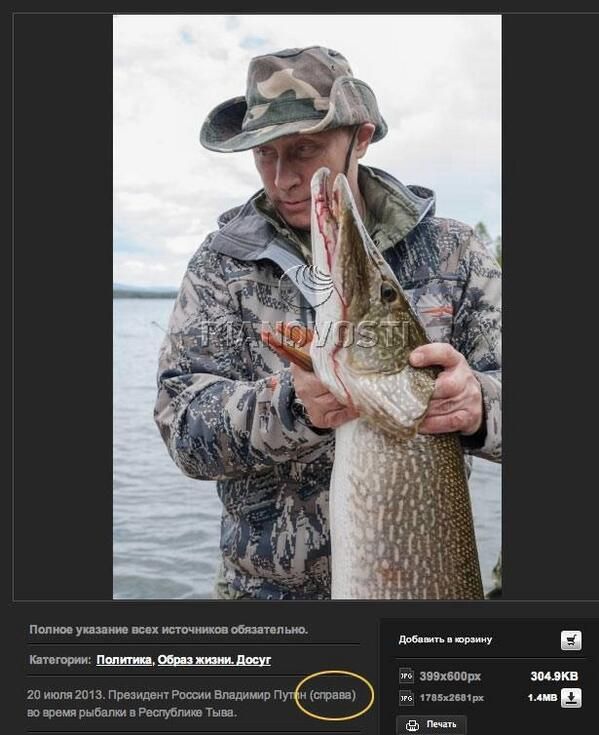 podborka_60.jpg