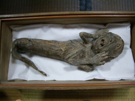 mermaid_6.jpg