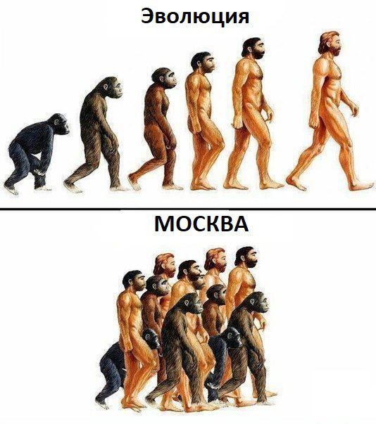 15461238.jpg