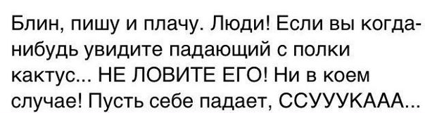 AjrYVBYf7_4.jpg