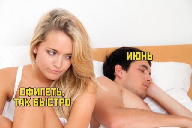15696050.jpg
