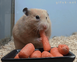 tumblr_n4e3bcpdXY1s2yegdo1_400.gif