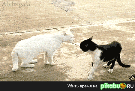 l1a.gif