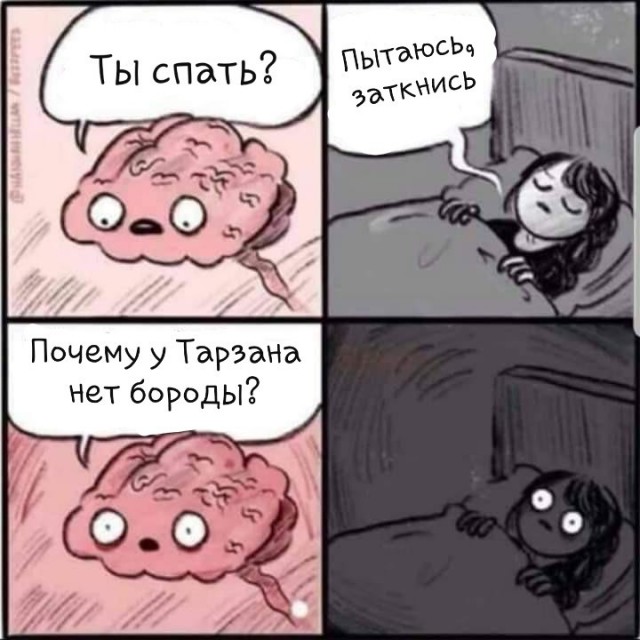 12255811.jpg