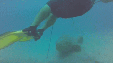 gifs_04.gif