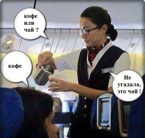 13076611.jpg