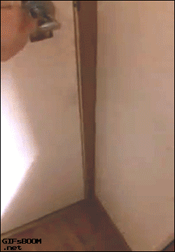 tumblr_o22gtiFEq11rq1pj8o1_250.gif