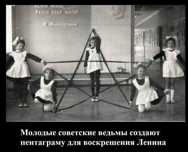 15269982.jpg