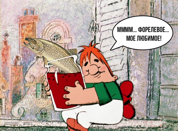 uM0At8mvdak.jpg