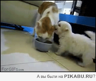 a29a89.gif