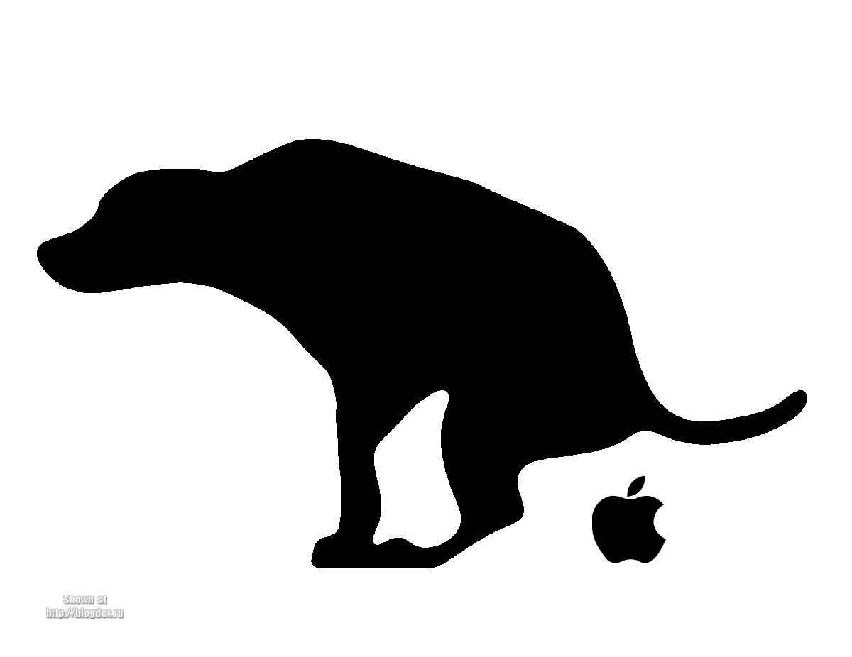 s-547.jpg