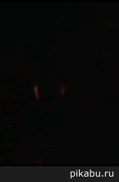 tf8.gif