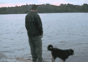 caaf98c5f895f9d3b3660c205ca97f0c.gif