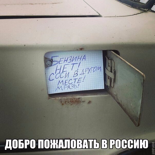 11573770.jpg