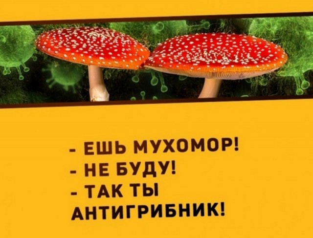 16302900.jpg