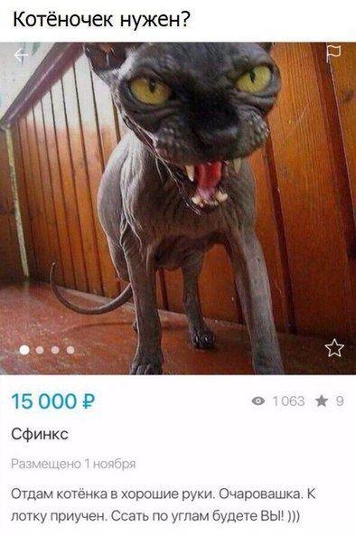 UhWjhn2JcBc.jpg