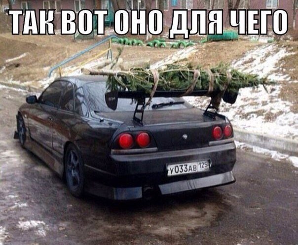 83B36gg_Bd4.jpg