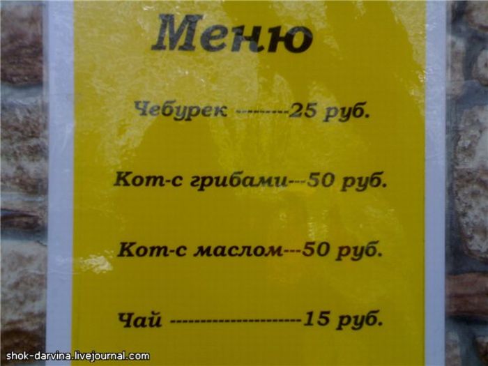 podborka_12.jpg