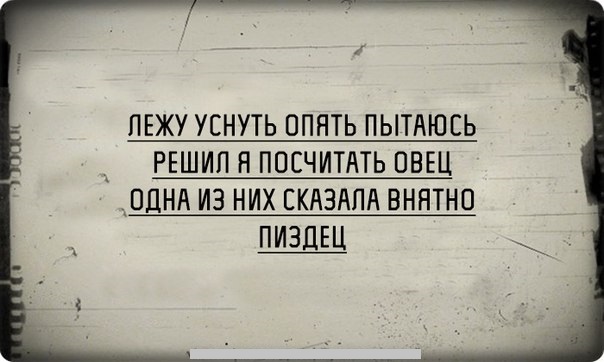 8854560.jpg