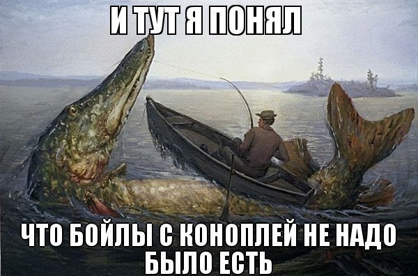 Cau653eWuaA.jpg
