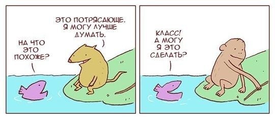 RfYigNJF6OQ.jpg