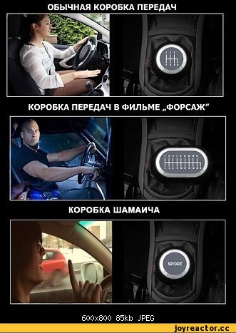 демотиватор-шамаич-коробку-в-спорт-песочница-547086.jpeg