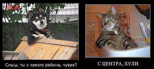A0wf4EFzFk4.jpg