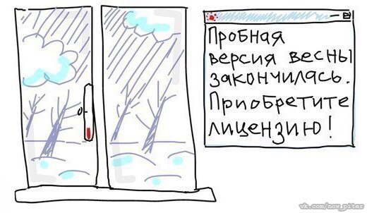 -x7xY2NFkxs.jpg