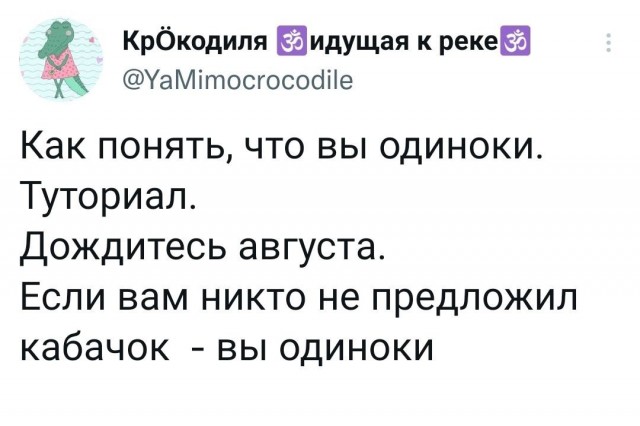 15873519.jpg