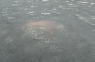 a0KU17Z.gif