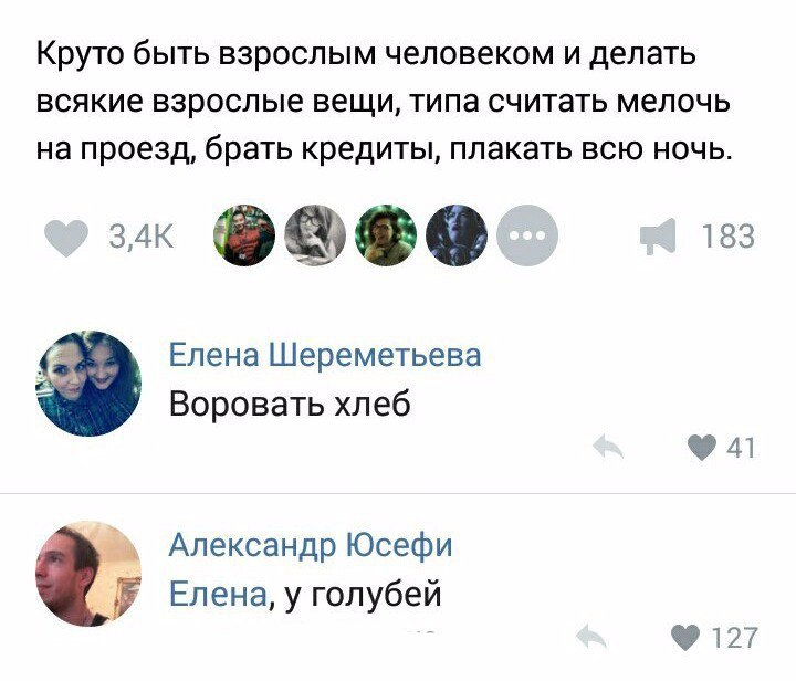 rpNAj3ywr40.jpg