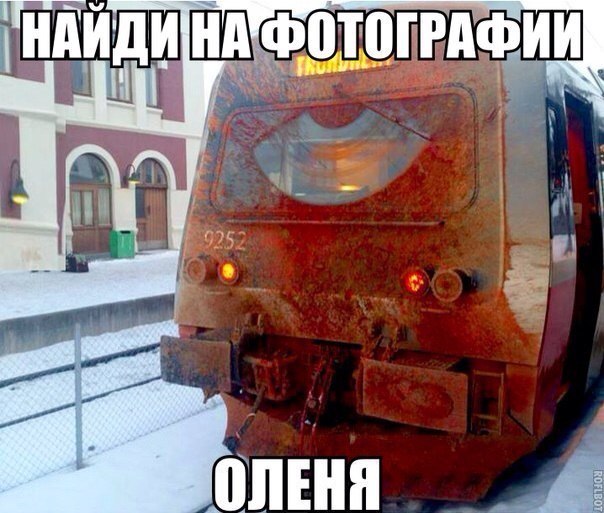 FLa1GbT4Lws.jpg