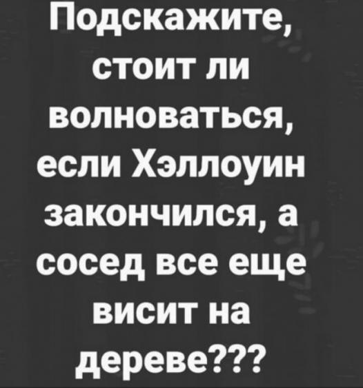 14886006.jpg