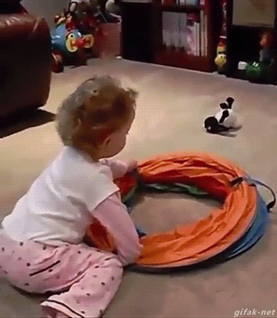tumblr_nvfomkgMBK1s2yegdo1_400.gif