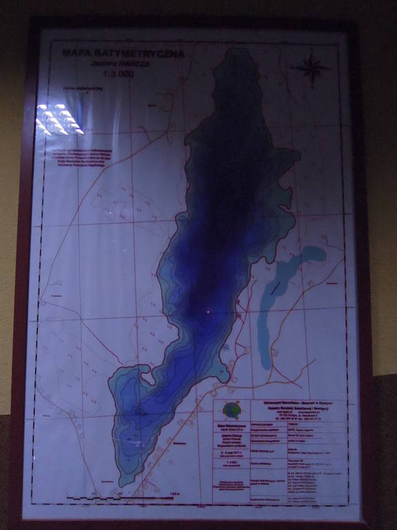 6892434.jpg