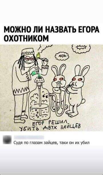 15287447.jpg