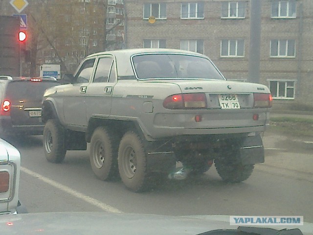 2339590.jpg