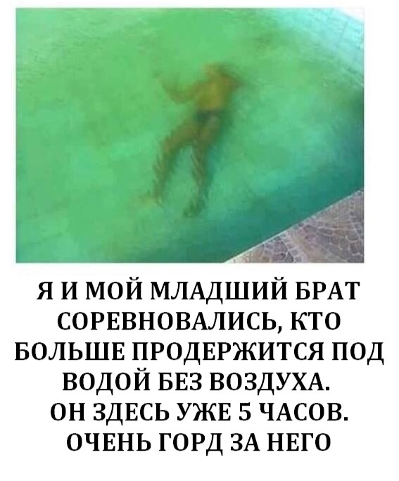 12122066.jpg