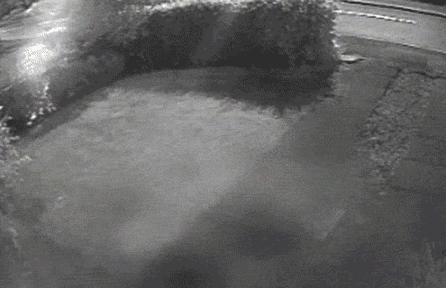 original.gif