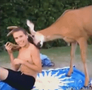 111.gif