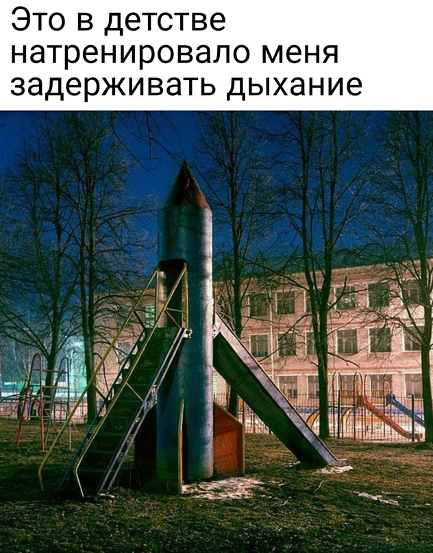15461895.jpg