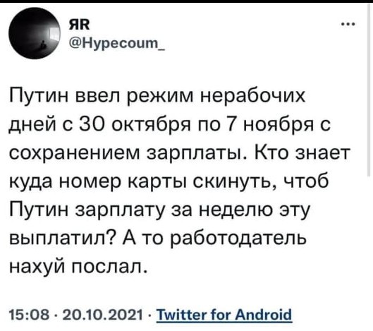 16076232.jpg