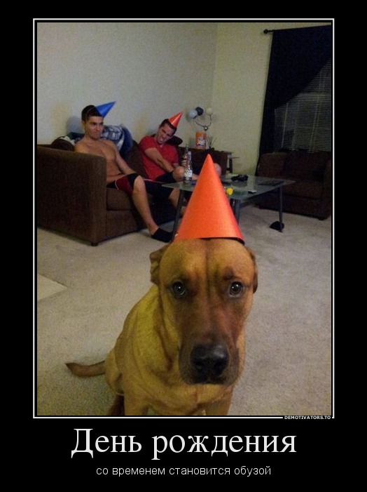 9a6cd6196faabdd6025d8ded9749d771.jpg