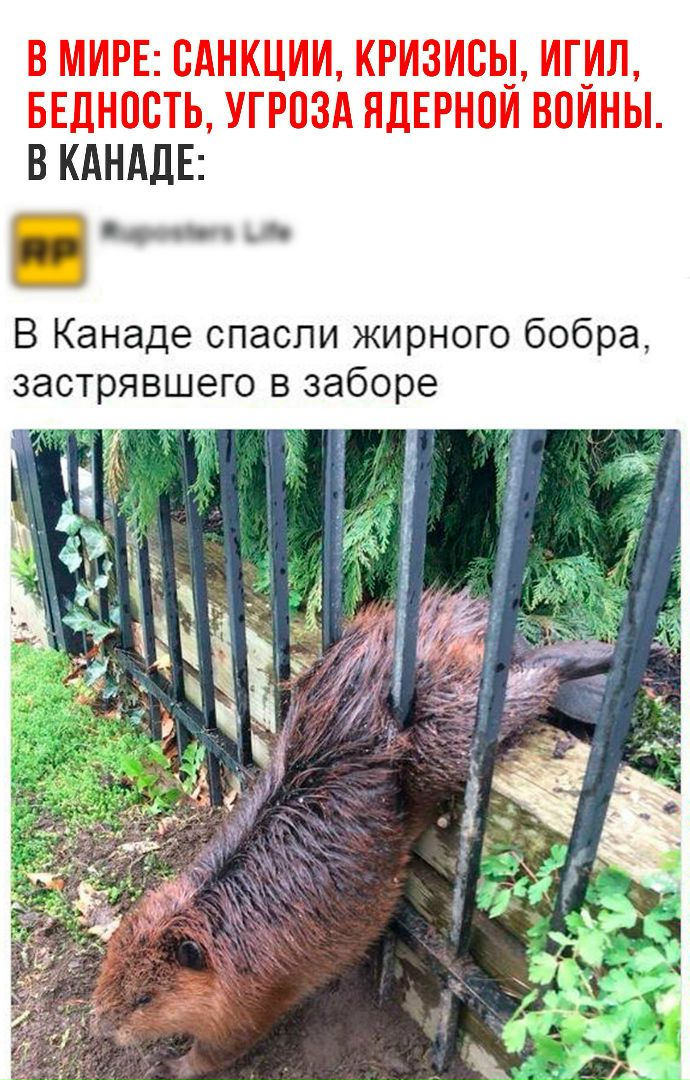 c3-1lAaZQvs.jpg