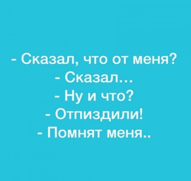 15781190.jpg