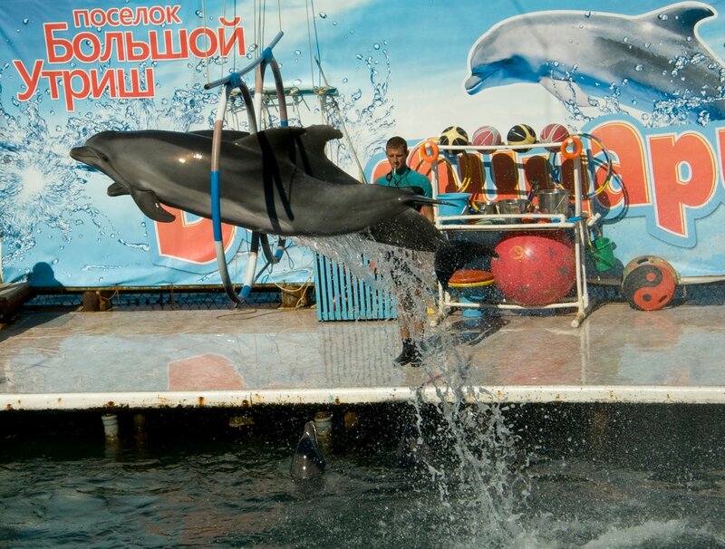 0_65078_bb1f3473_XL