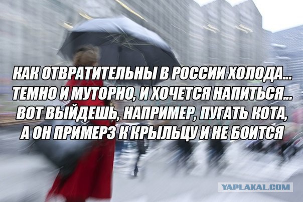 4176281.jpg